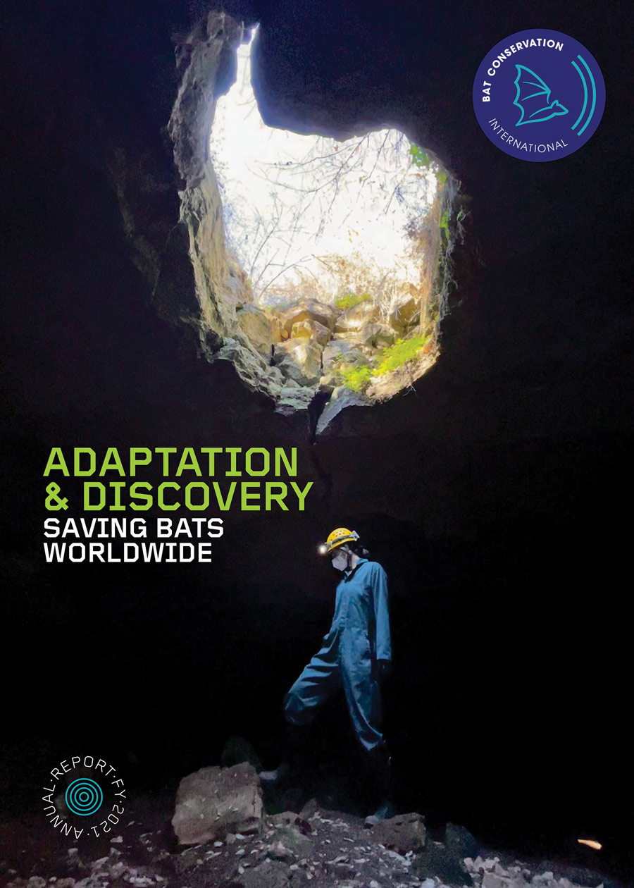 Bat Conservation Annual Report 2021 Cover