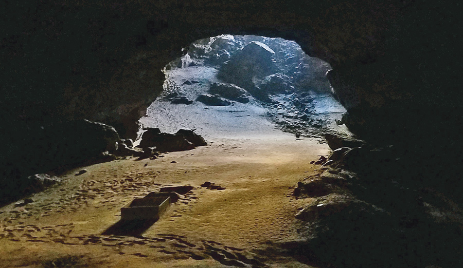 Bracken Cave Preserve