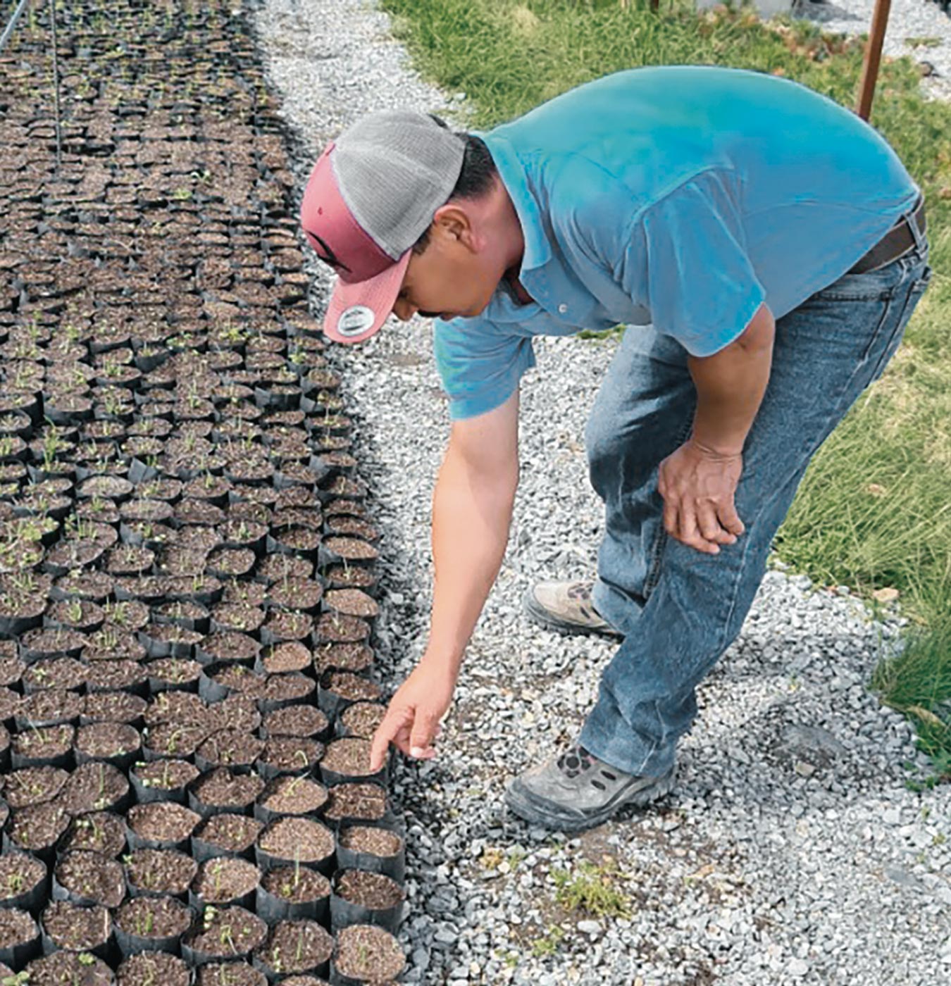 a rural community member checks the community’s agave seedlings in northeast Mexico
