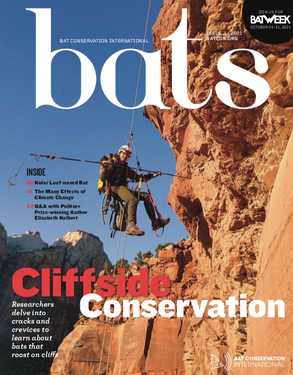 Volume 40, Issue 3