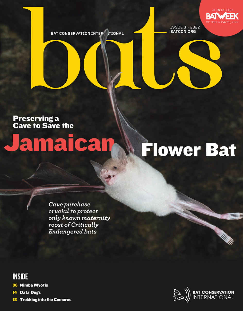 Cover for Bat Conservation International