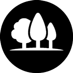 Trees icon