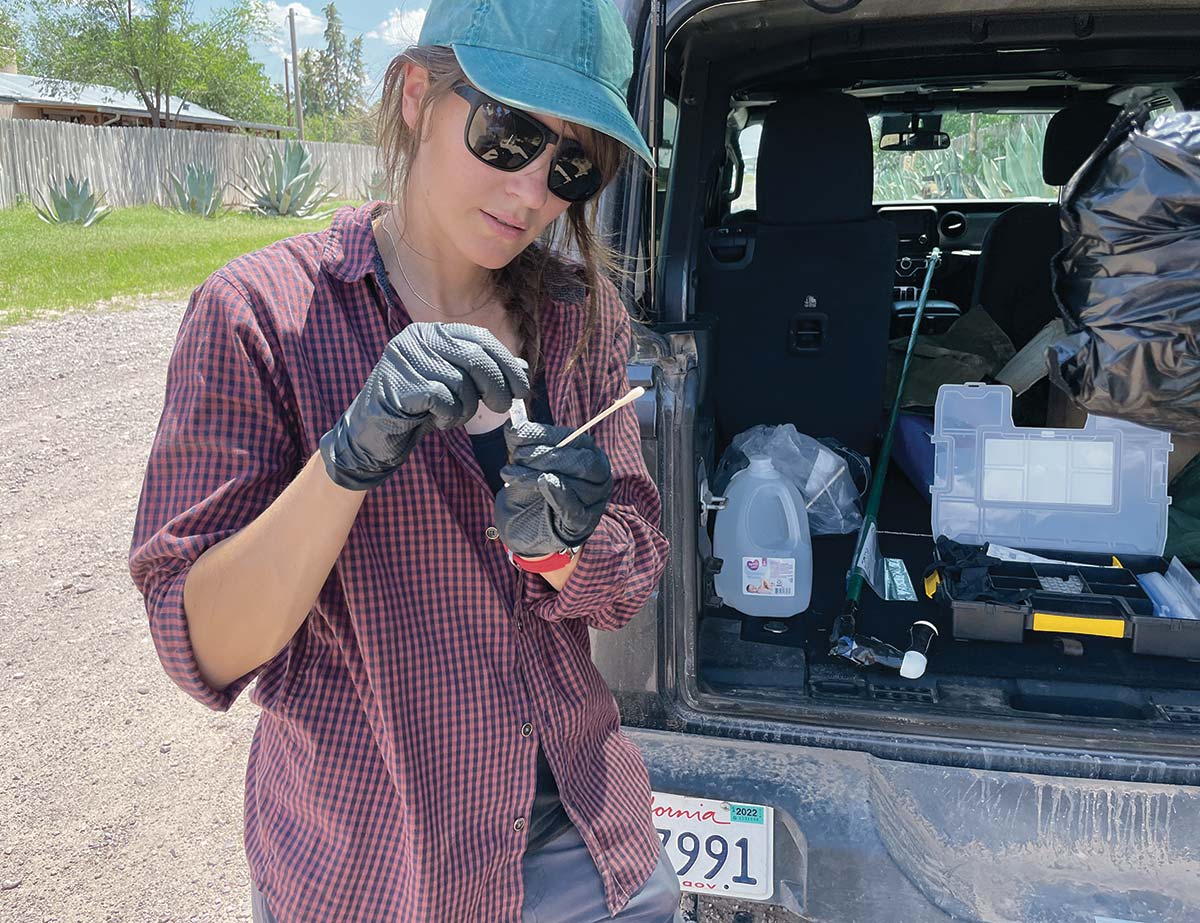 A portrait photograph of Montana Horchler (BCI Restoration Technician) collecting a swab from an agave blossom in the field as she is wearing a green hat, black sunglasses, multi-colored (red and black) flannel, and black gloves standing at the back of an open car