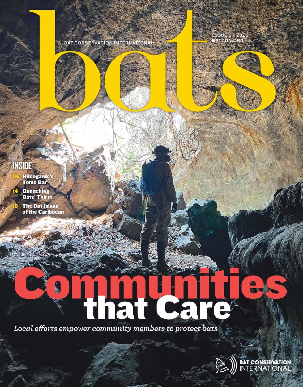 Bat Conservation