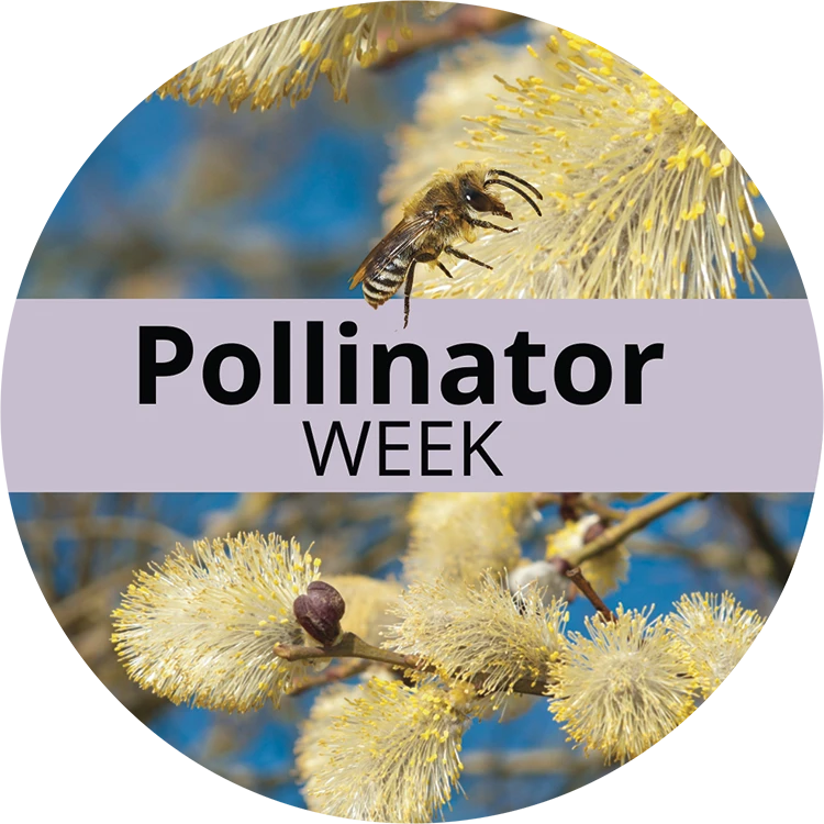 "Pollinator Week" logo