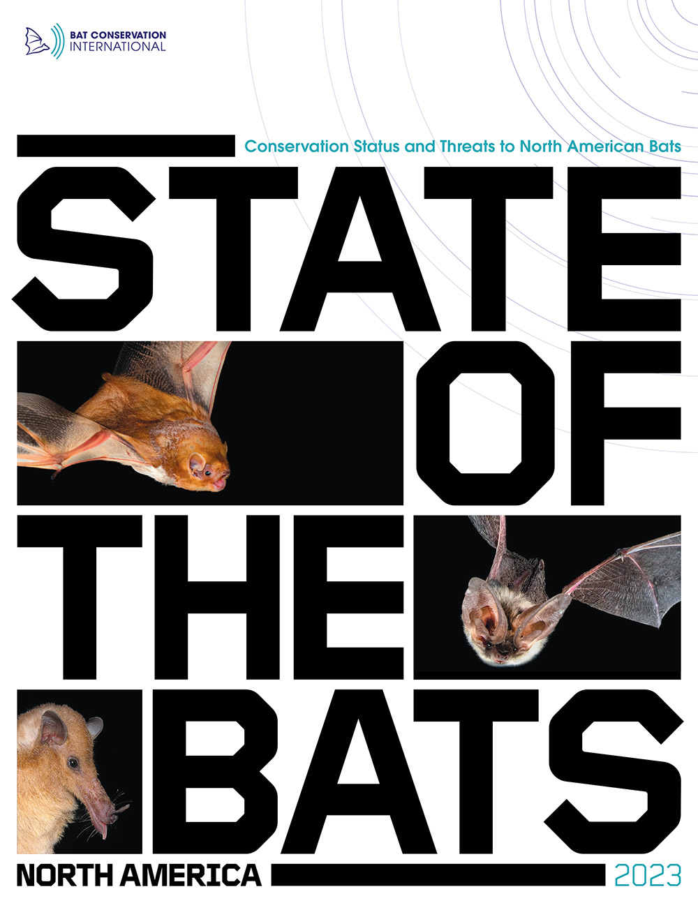 Bat Conservation International’s State of the Bats North America 2023 Report cover