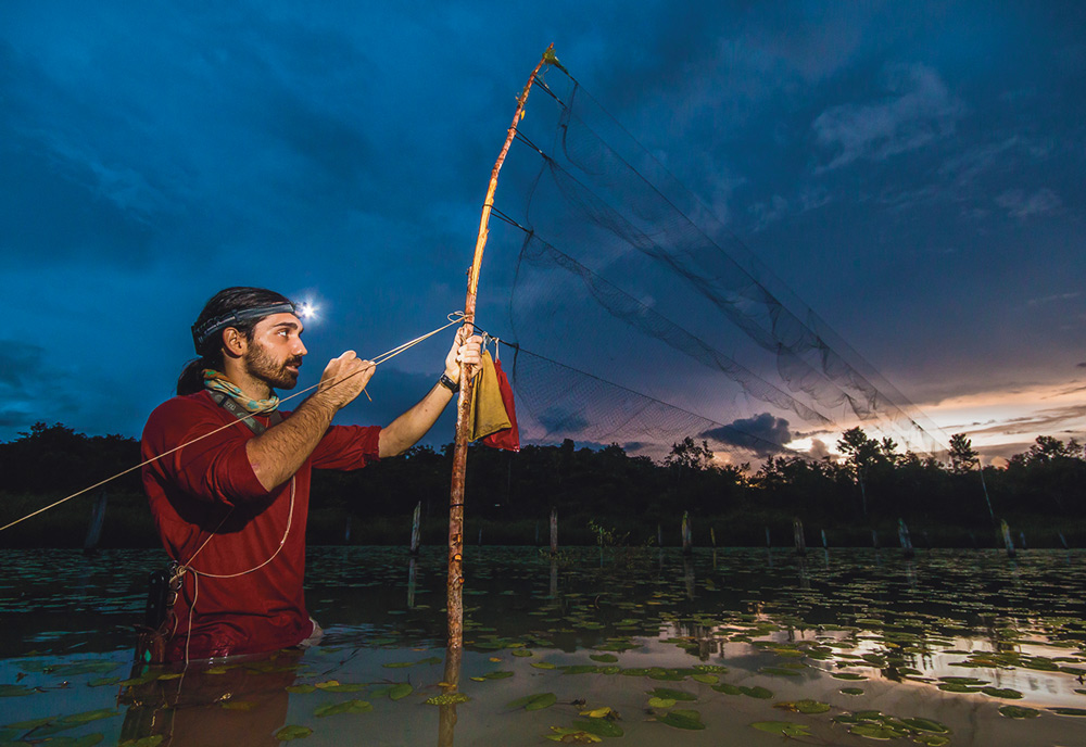 man setting up net in amazon rainforest