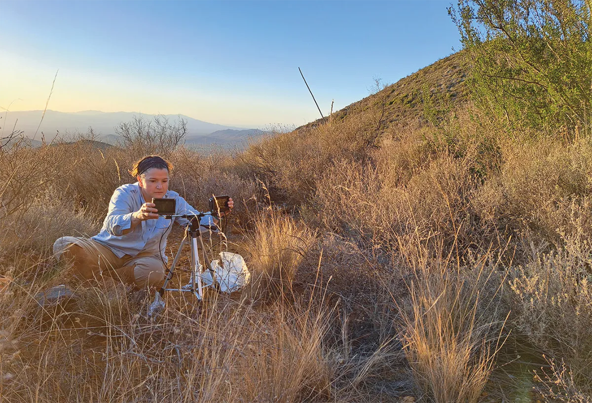 Dr. Ana Ibarra sets up infrared-assisted video recording equipment to capture the emergence of a Mexican long-nosed bat colony in Northeast Mexico.