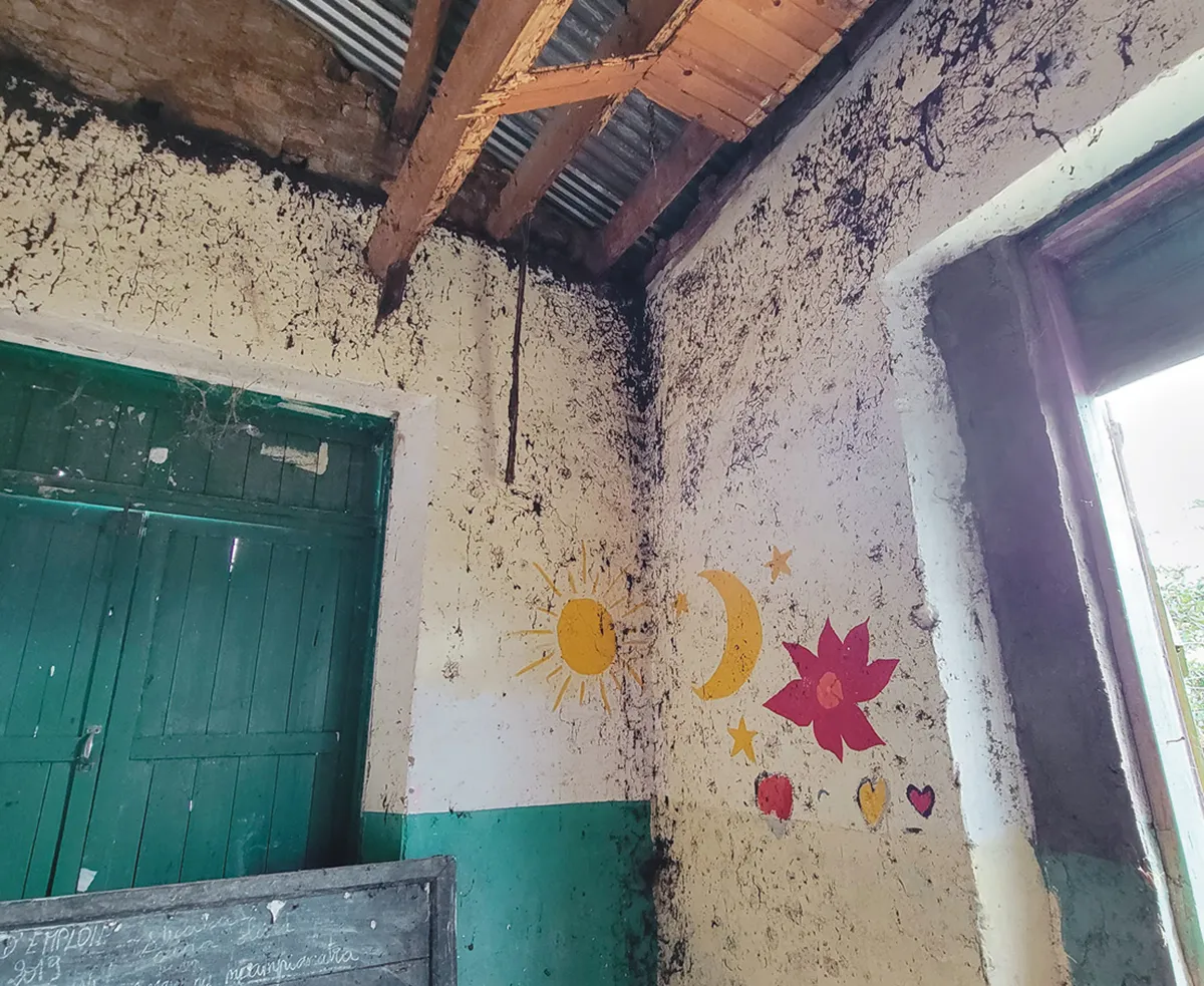 A primary school classroom that has fallen to disuse by humans after a storm destroyed the roof three years ago.