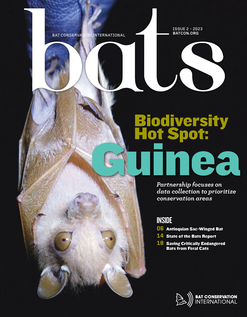 Bats Magazine Volume 42, Issue 2 cover
