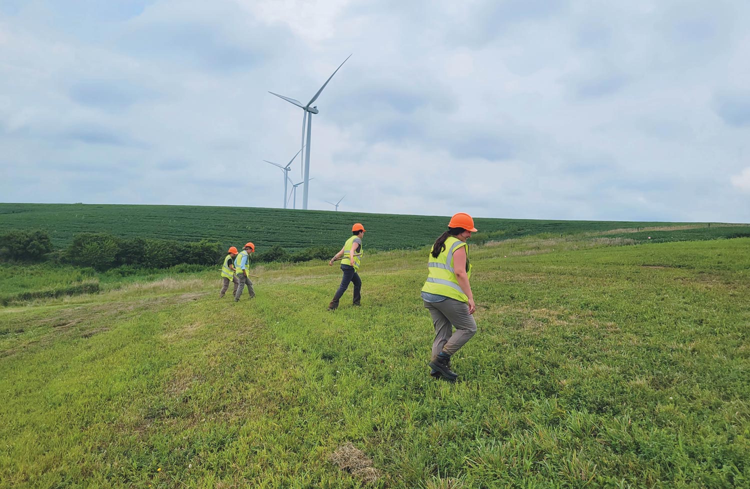 teams employed by BCI conduct sweeps in a large green field that contains wind turbines in the distance