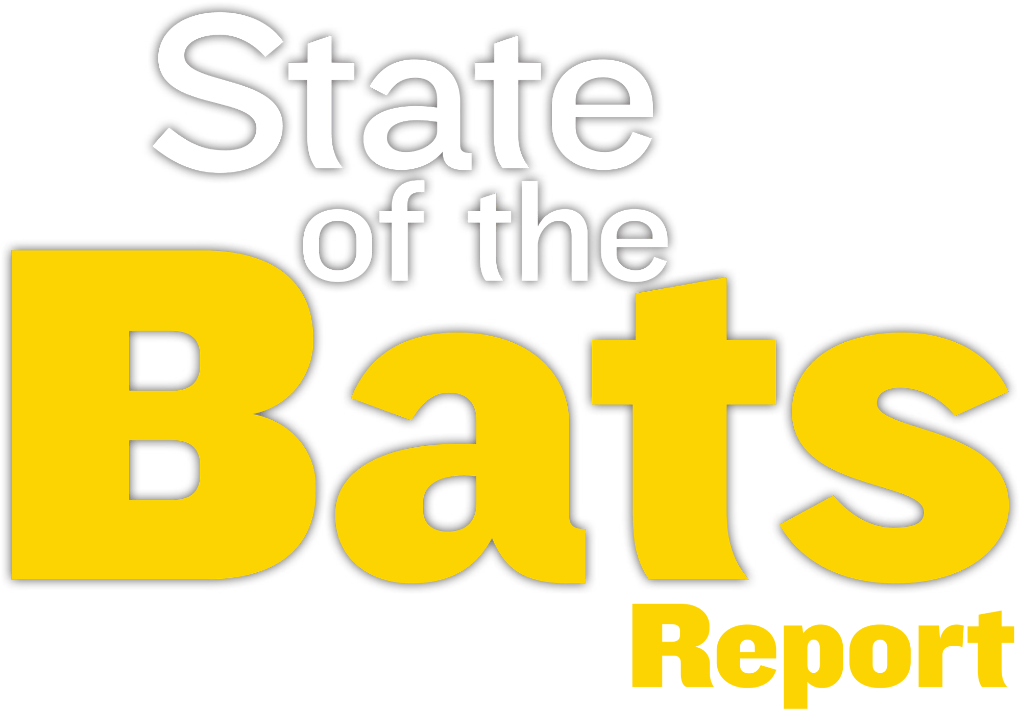 State of the Bats Report typography