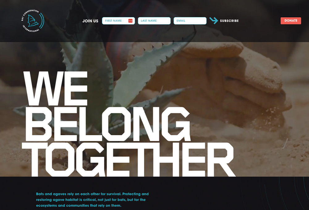 "We Belong Together" webpage screenshot