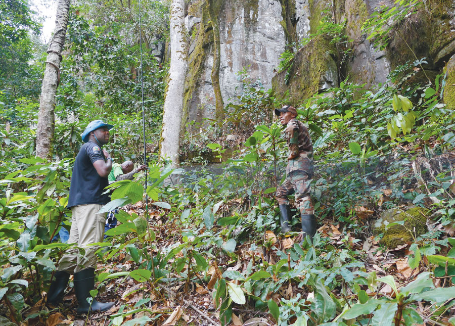 survey team setting up mist nets at the foot of a rock massif at Mont Bero