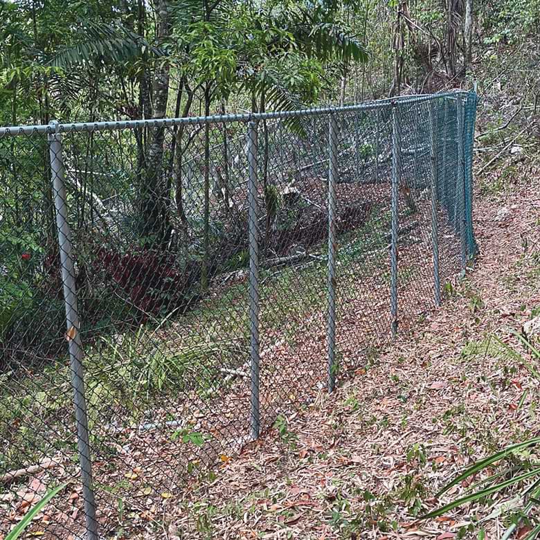 fencing near trees and bush