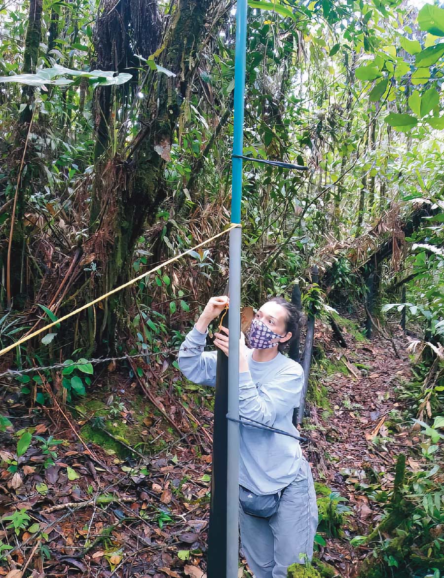 Leidy López-Sepúlveda holding pole setting up mist nets