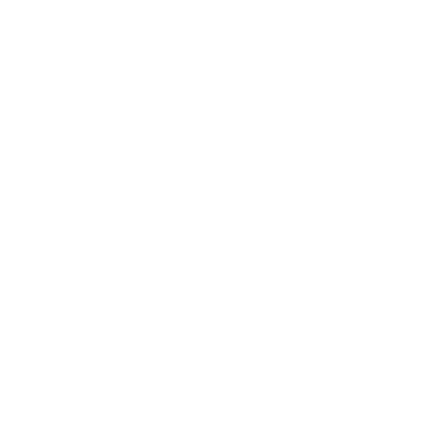 Bat Conservation International logo