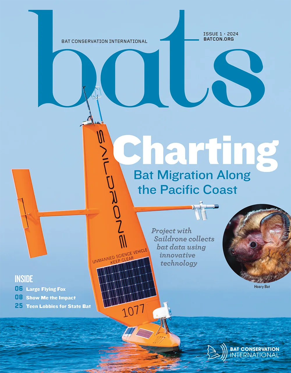 Bats Magazine Volume 43, Issue 1 cover