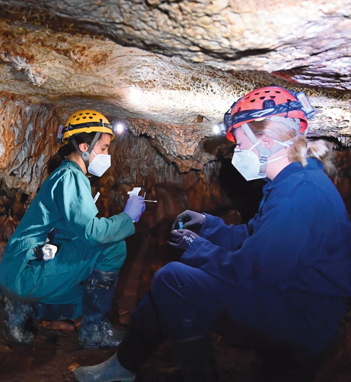 BCI scientists in a bat cave with helmets, head lamps, and swabs