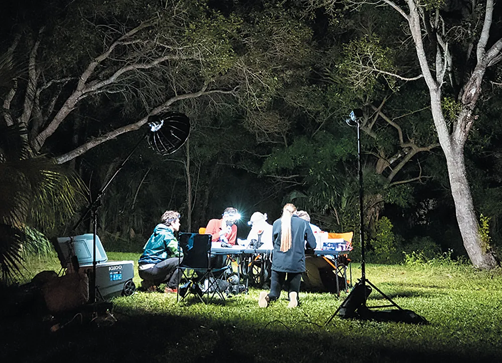 bat research team members working at a processing table