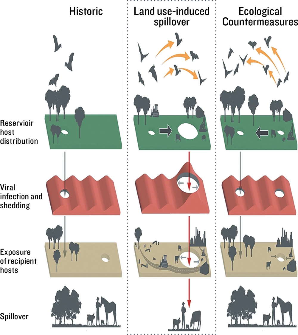 progression of landscape and vegetation from barren to lush, showcasing various stages of growth and development