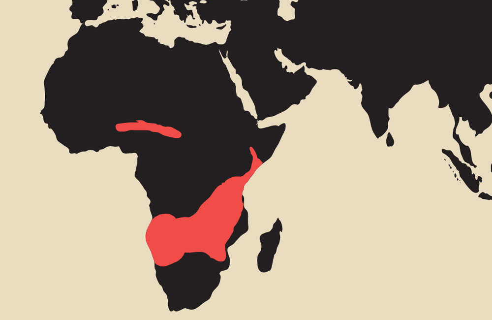 highlighted Eastern, Southern, West, and Central regions of Africa