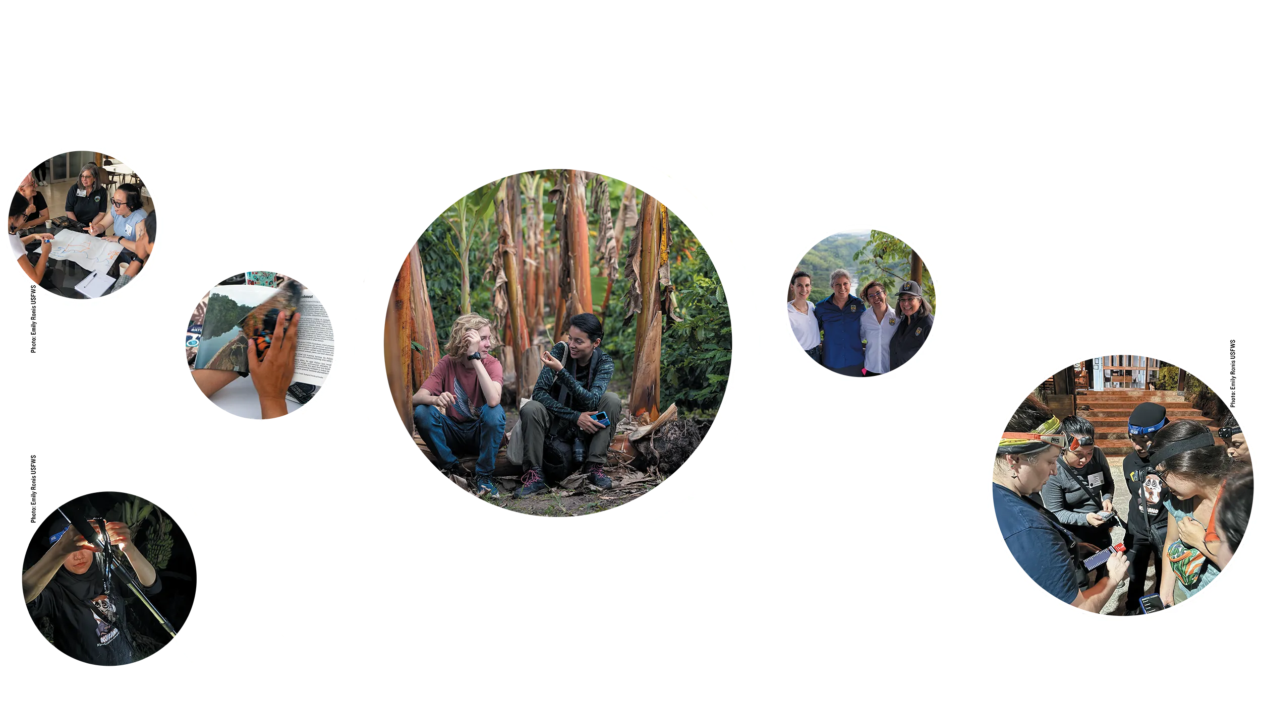 collage of bat researchers