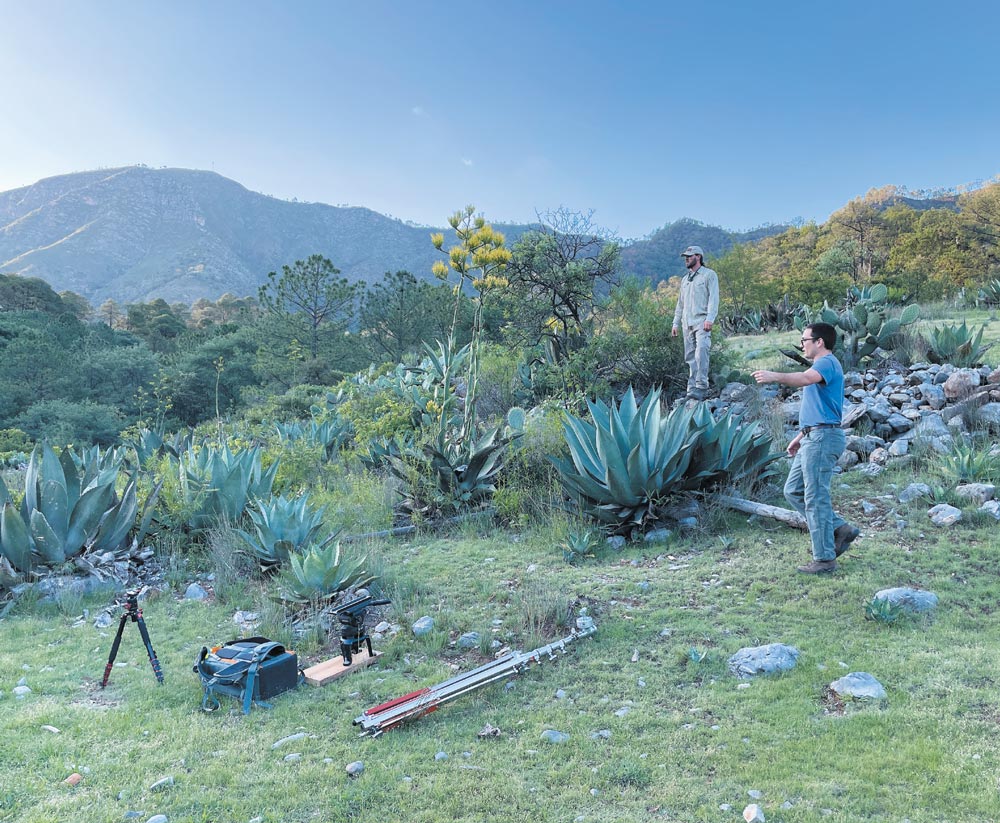 two bat researchers setting up film equipment in Nuevo Leon around agave plants