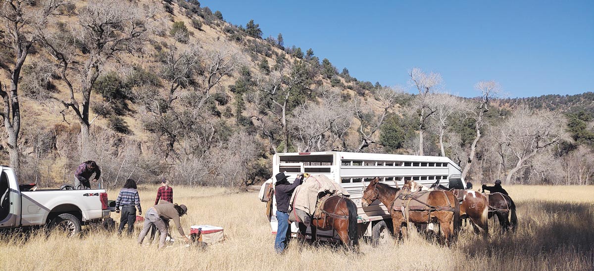 People loading horses into a truck