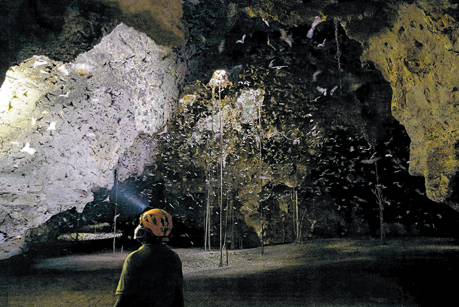 Paul Webala looking at ceiling inside of  Makuruhu Cave