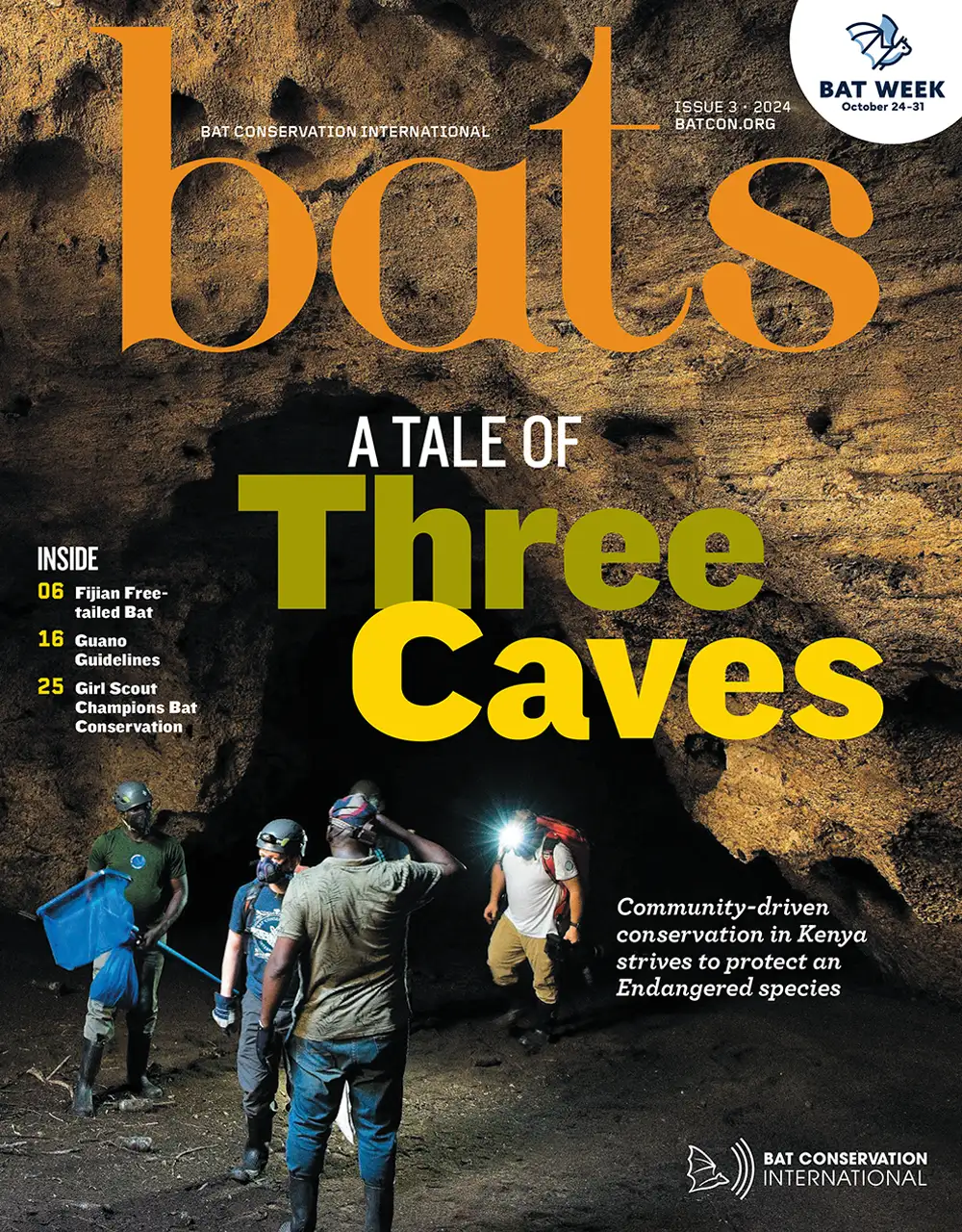 Bats Magazine Volume 43, Issue 3 cover