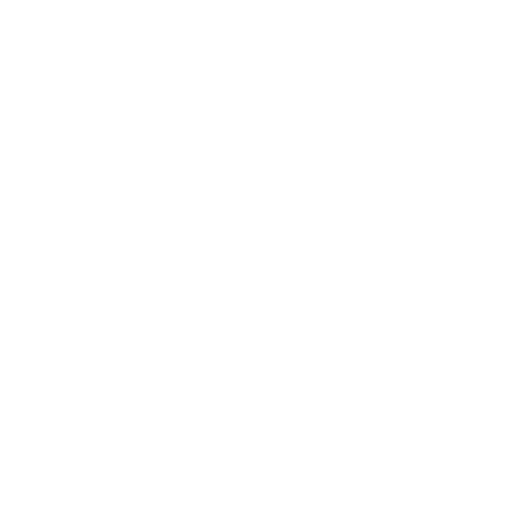 Download Icon