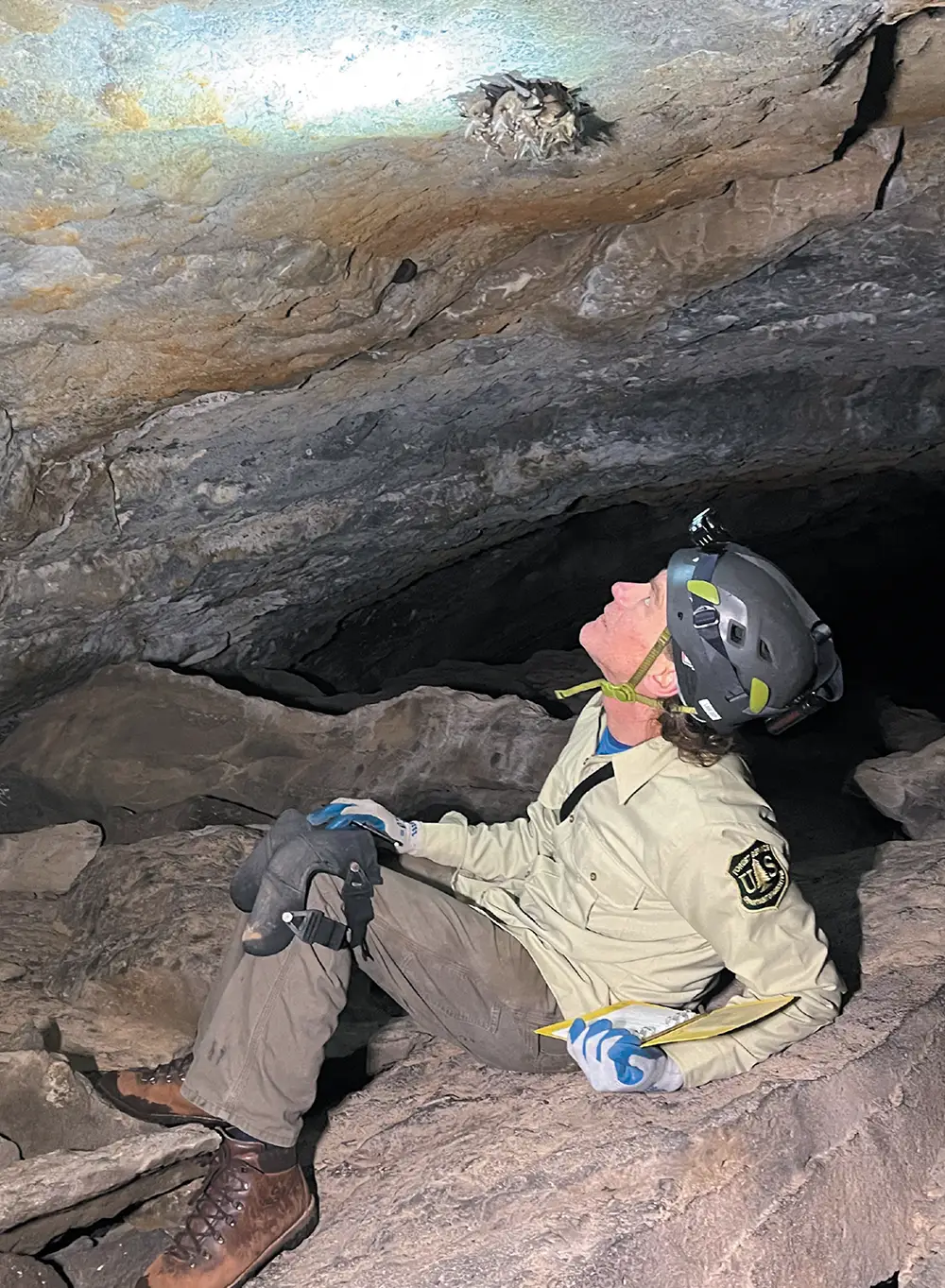 A person in a helmet and outdoor gear sits in a cave, looking up at bats on the ceiling.