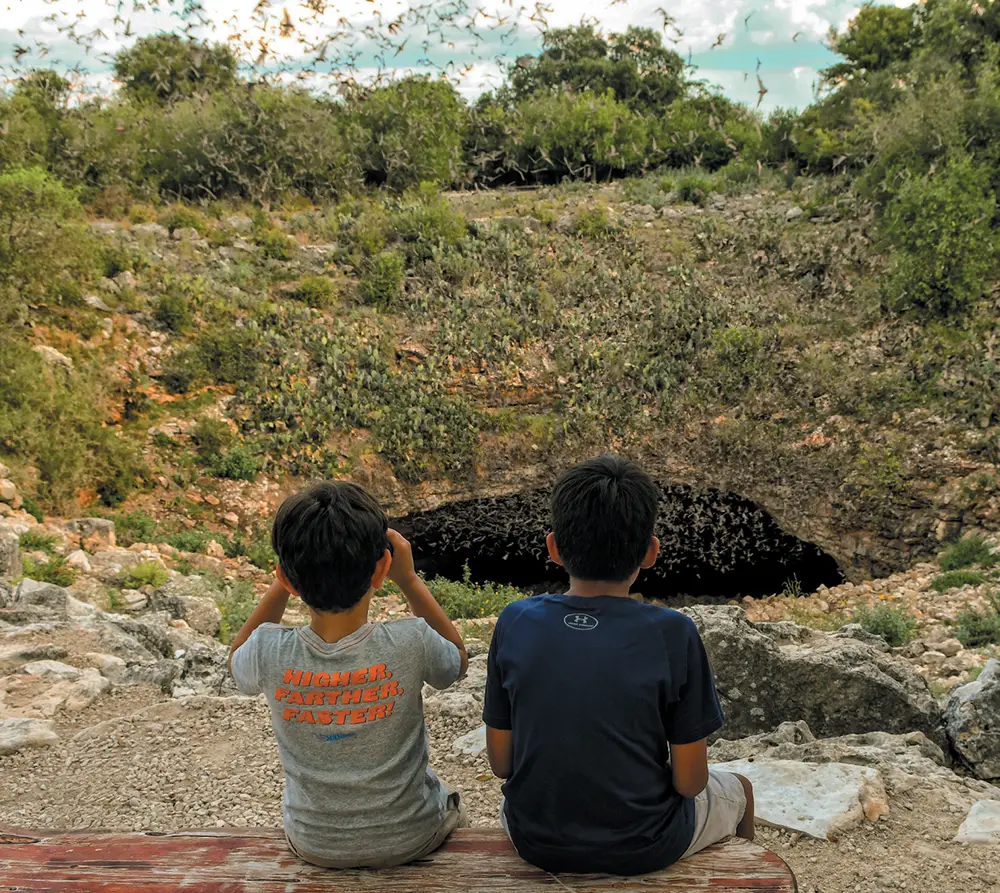 Two boys sitting on a bench watching bats fly out of a cave.