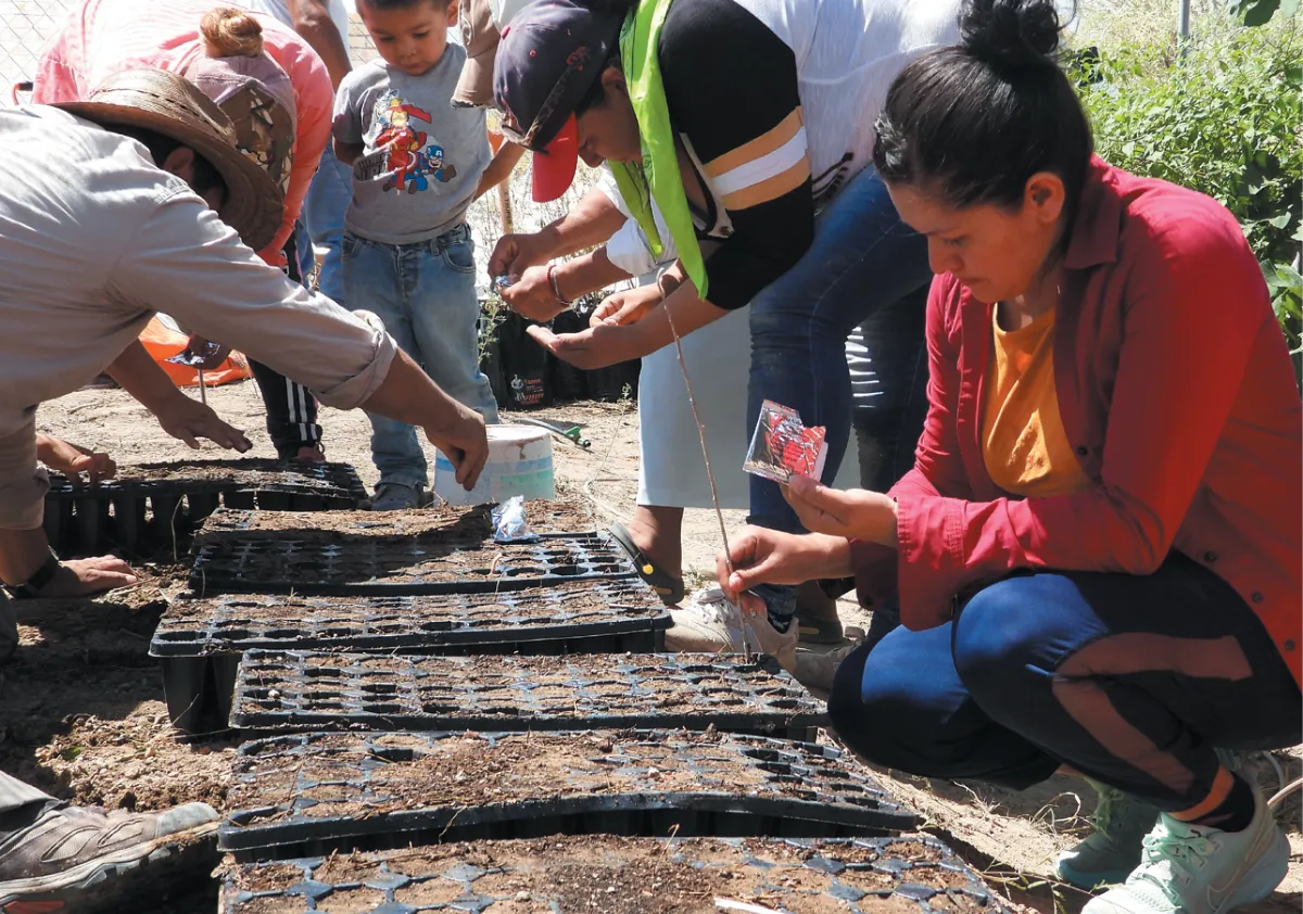 A group of people, including children, working together outdoors to plant seeds in trays, preparing soil and handling seed packets under bright sunlight.