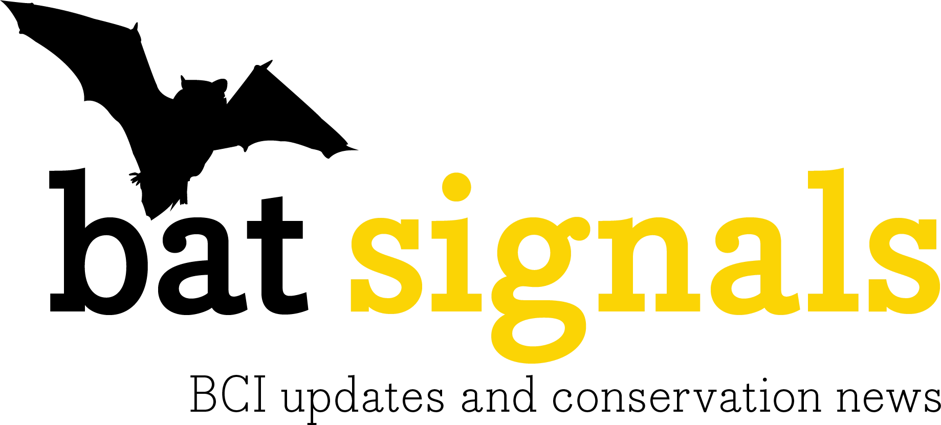 Bat Signals BCI updates and conservation news