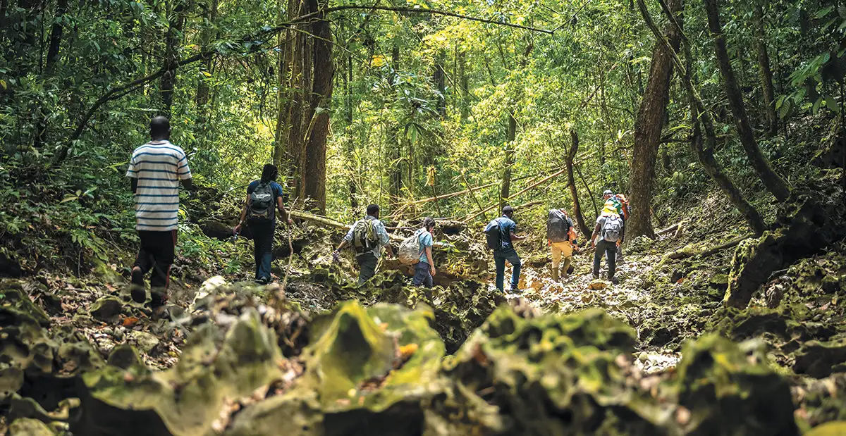 A group of hikers walking along a rocky path in a dense, green forest.