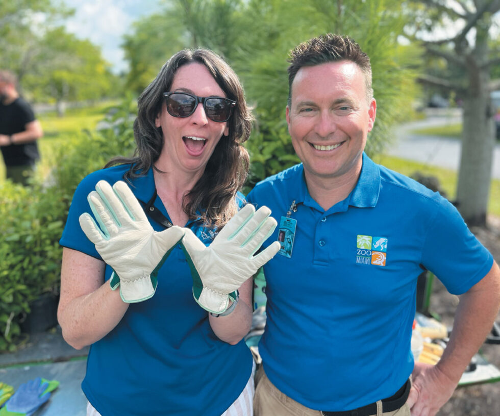 Using the Power of Play to Save Bats