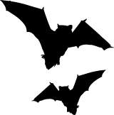Two bats icon