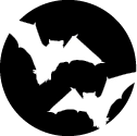 Bat Globe icon