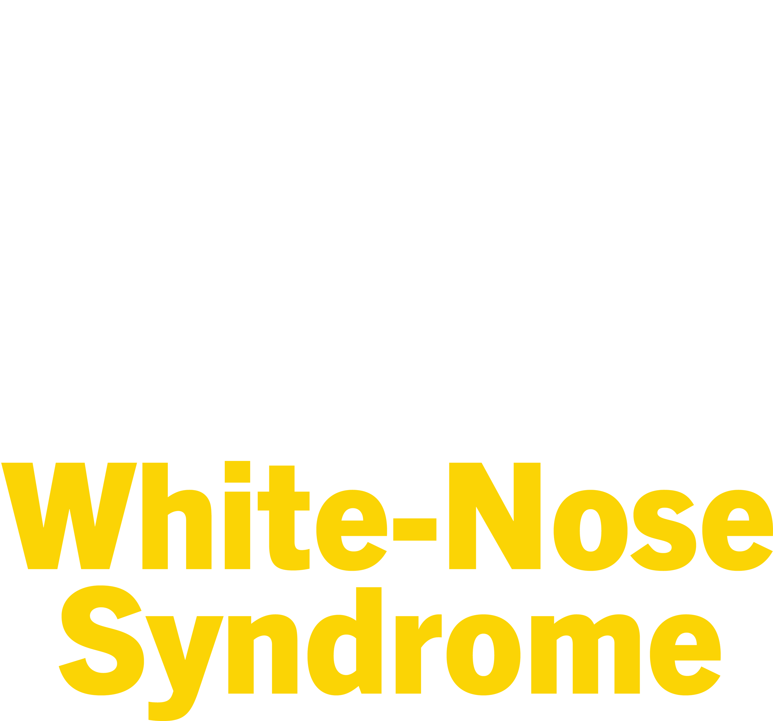 A Promising Potential Solution to White-Nose Syndrome