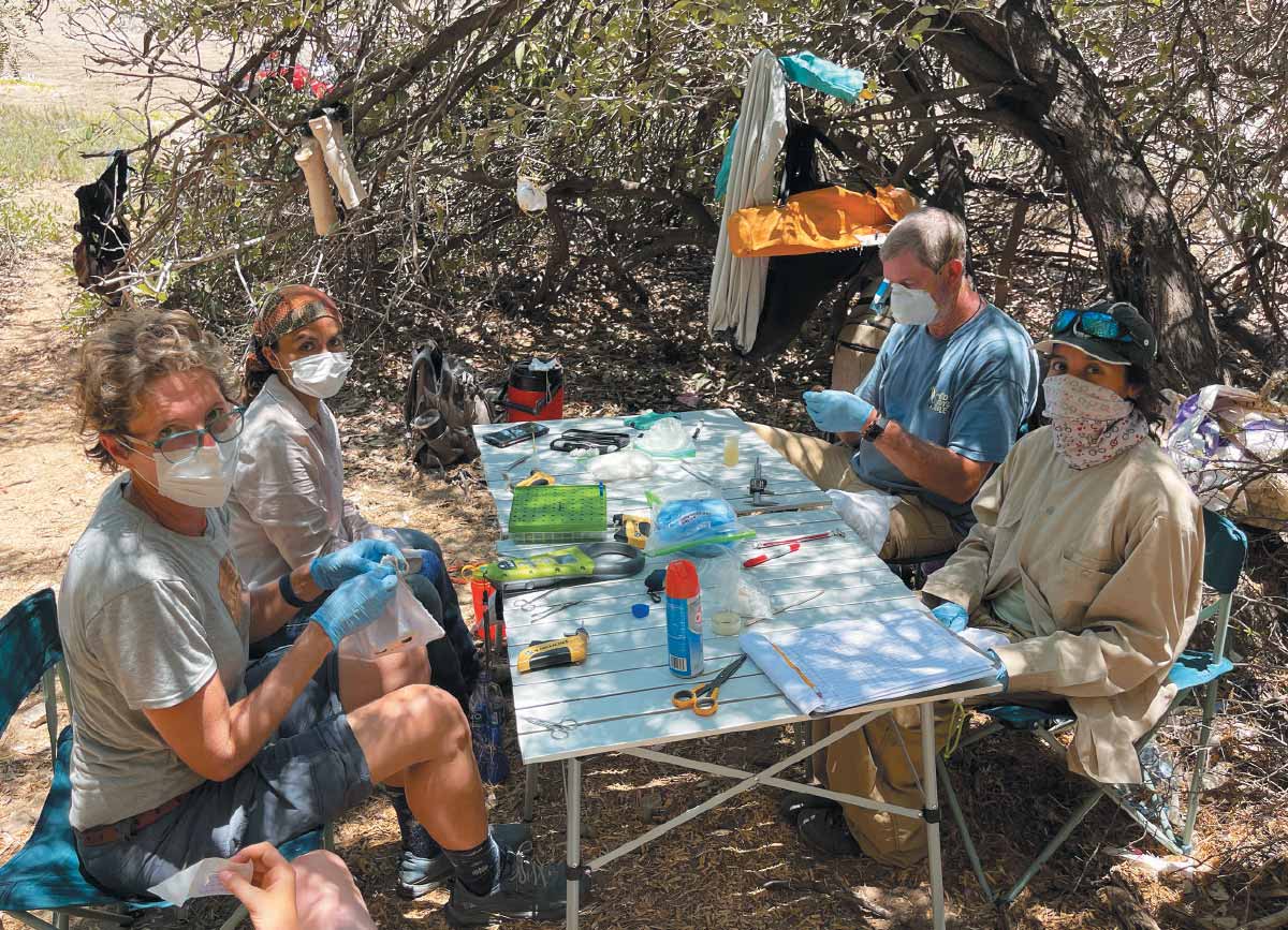 scientists working on project together at table outdoors