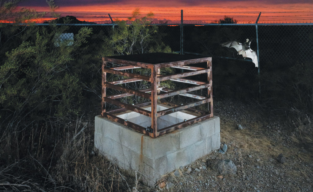 Concrete structure with a rusted metal grate, set outdoors at sunset with a flying bat and a fence in the background.
