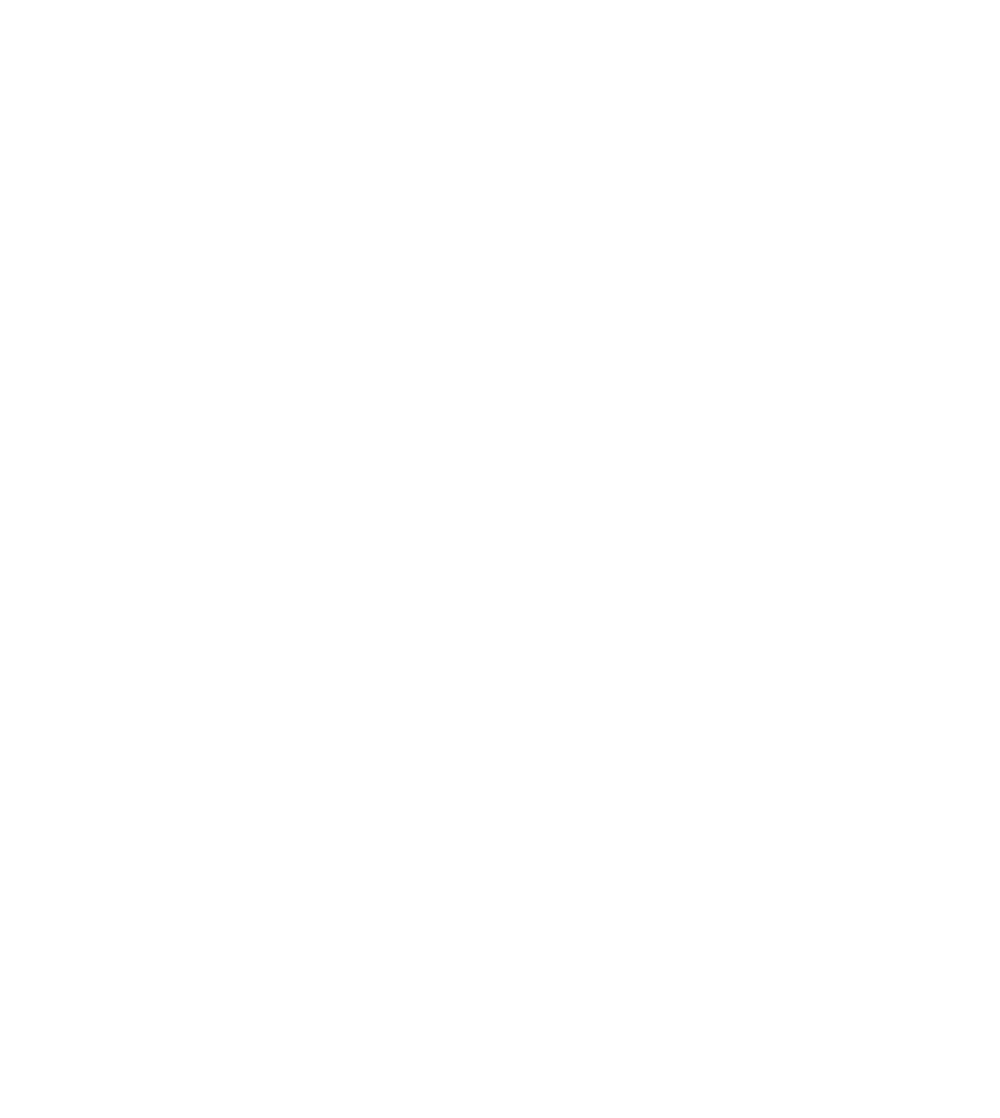 white silhouette of a bat in flight
