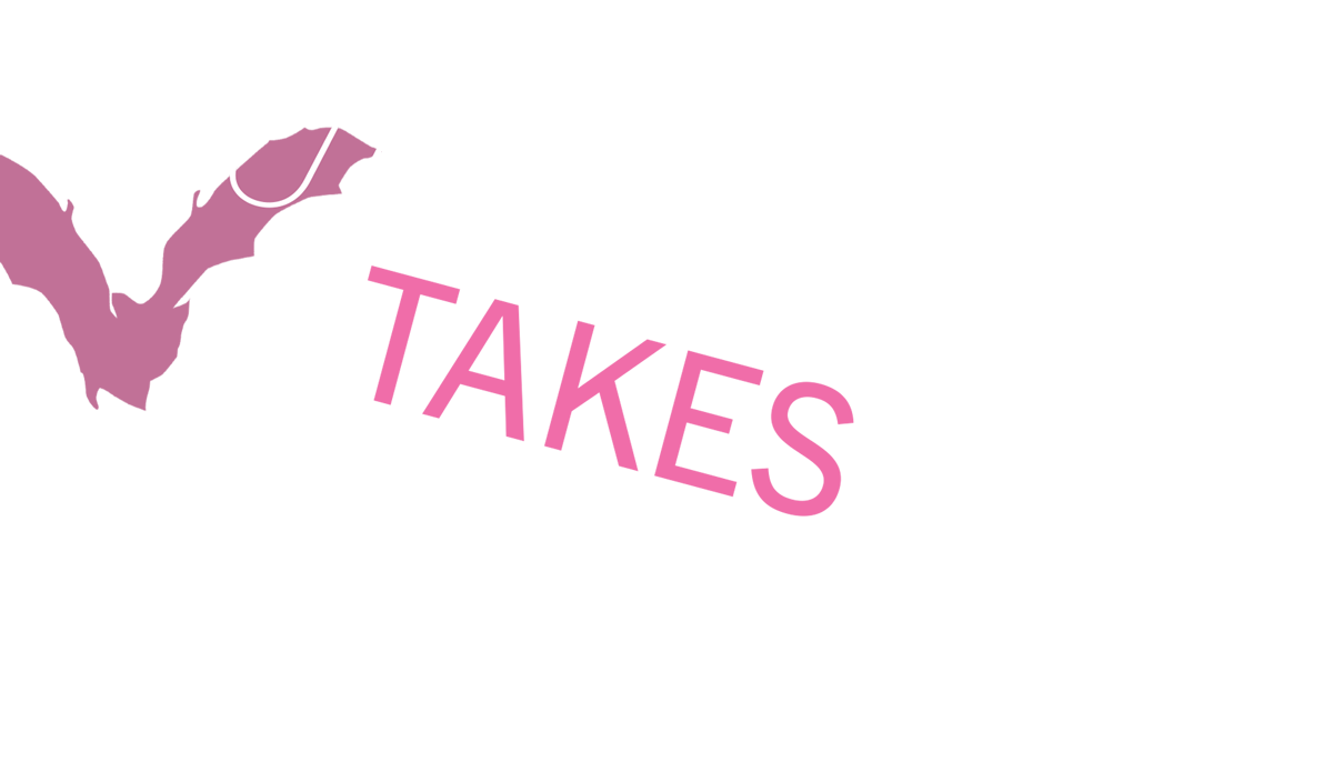 A Curriculum Takes Flight typography