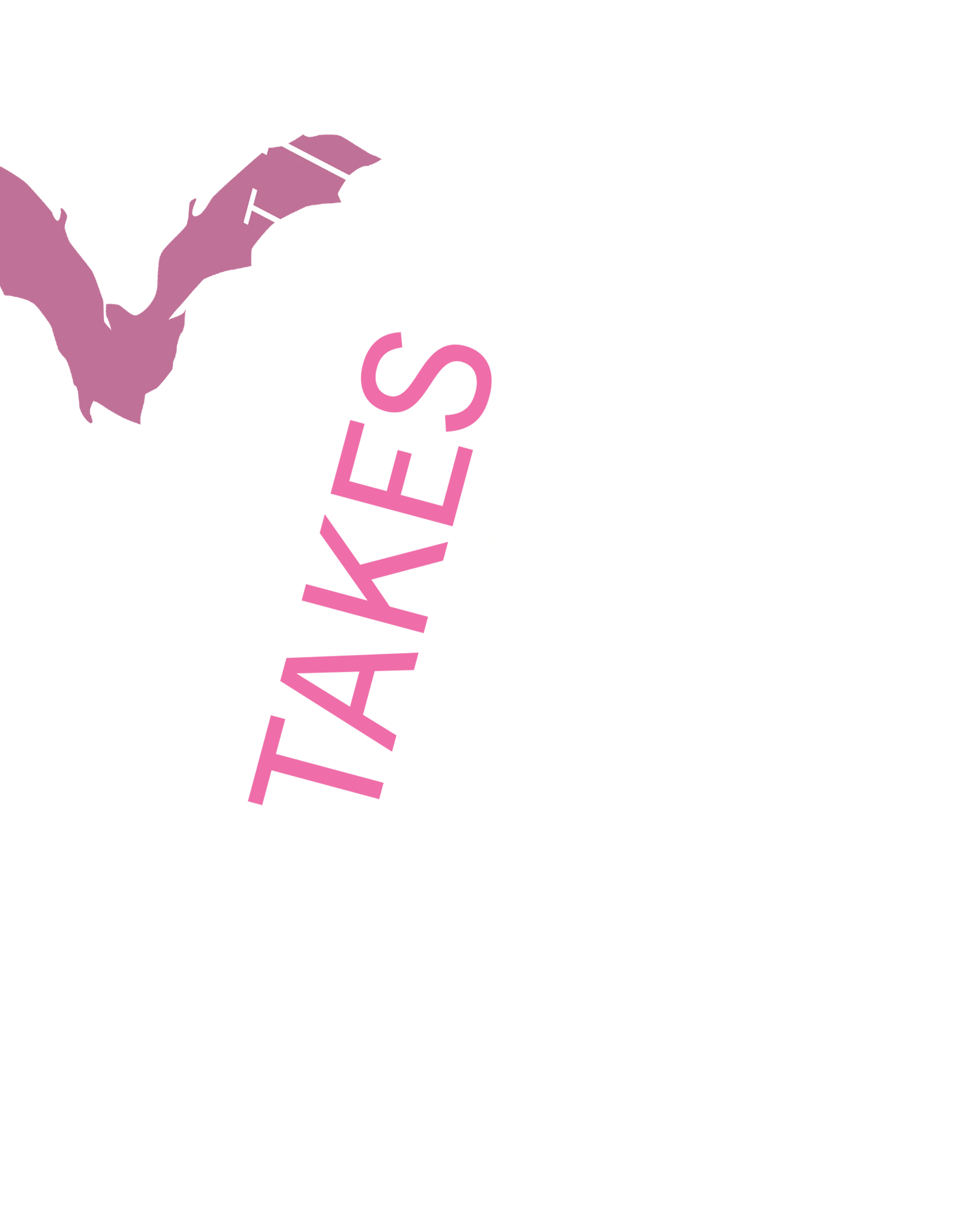 A Curriculum Takes Flight typography