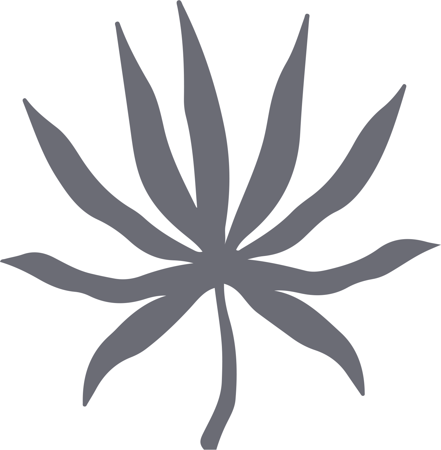 leaf icon