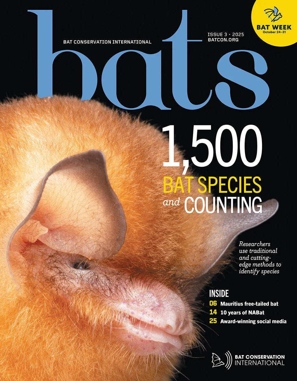 Bats Magazine Volume 44, Issue 3 cover