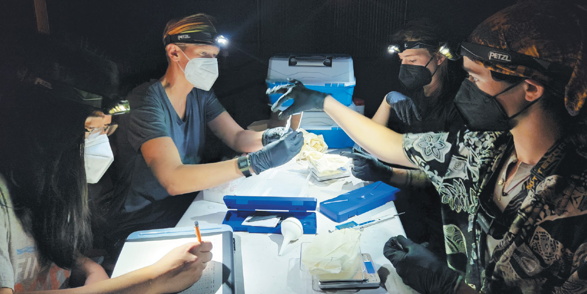 Team members conducting field research to collect data