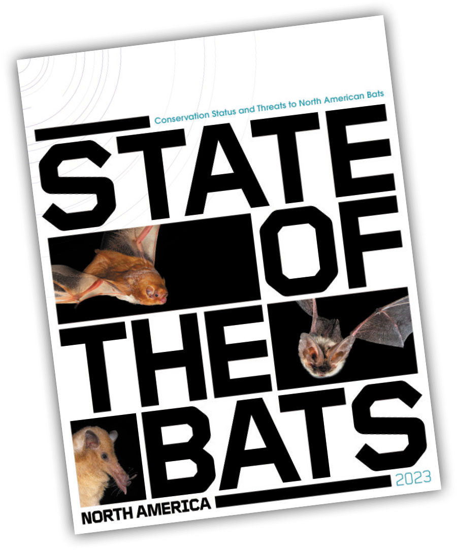 State of the Bats 2023 cover